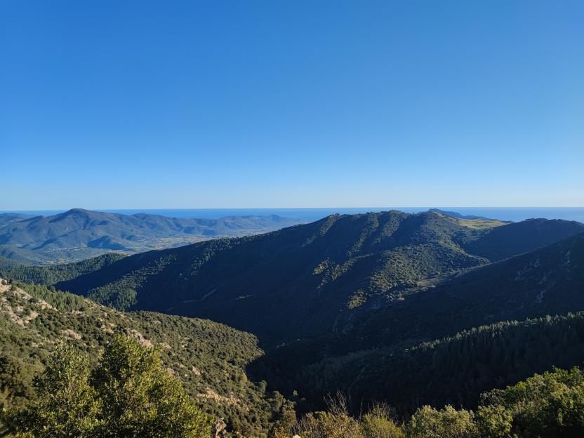 Panorama