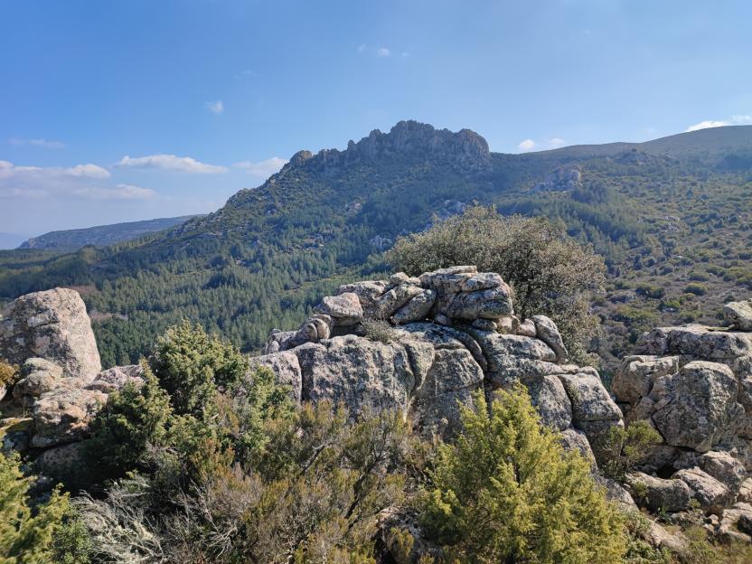 Panorama