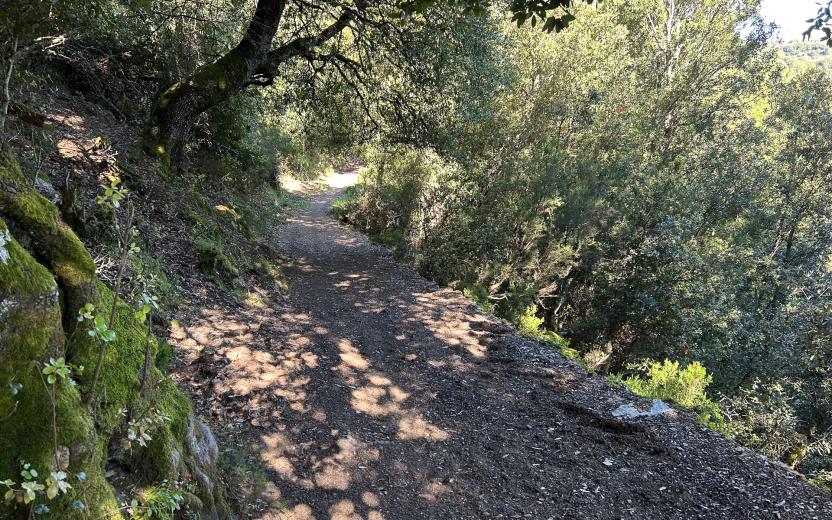 Tratto del percorso B-444A