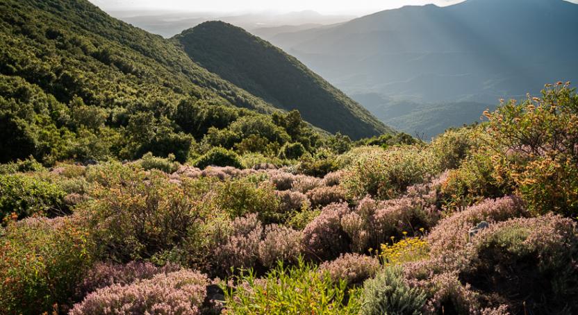 210 - La cresta sotto Monte Maxia_.jpg