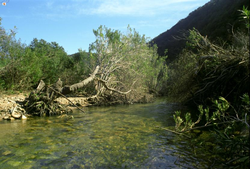 Rio Gutturu Mannu