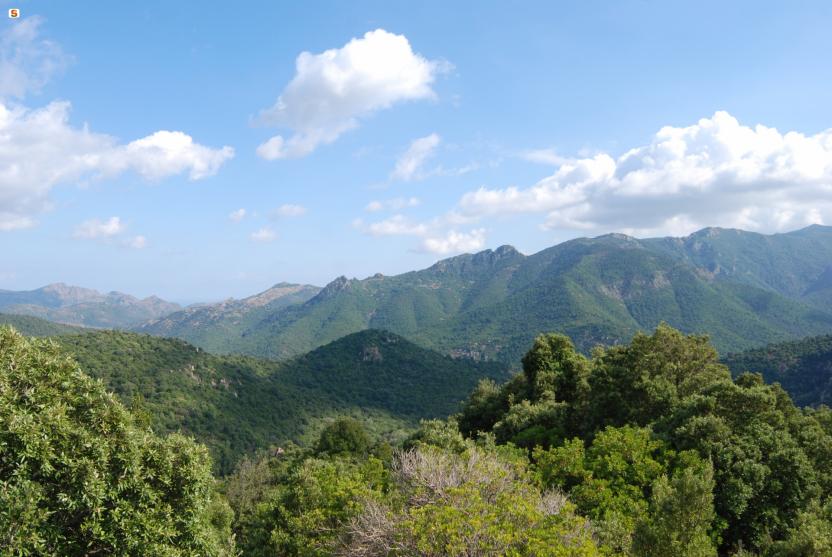 Panorama