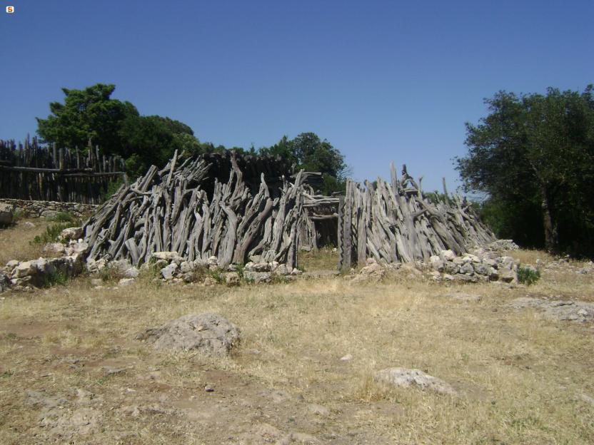 Foresta di Silana, antico ovile.jpg