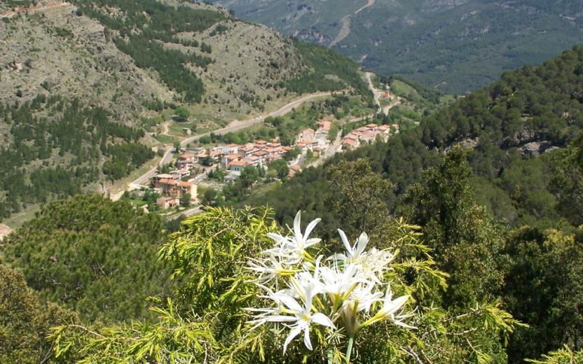 Gairo, panorama della frazione di Taquisara.jpg