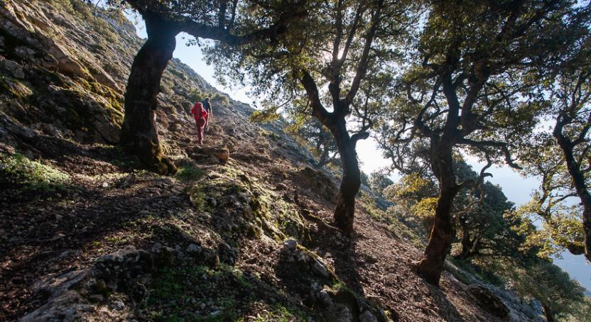 Gli ultimi passaggi prima di uscire dal bosco (404).jpg