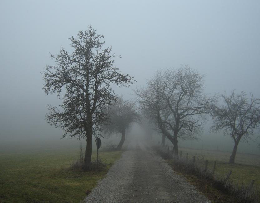 Nebbia wikipedia.jpg