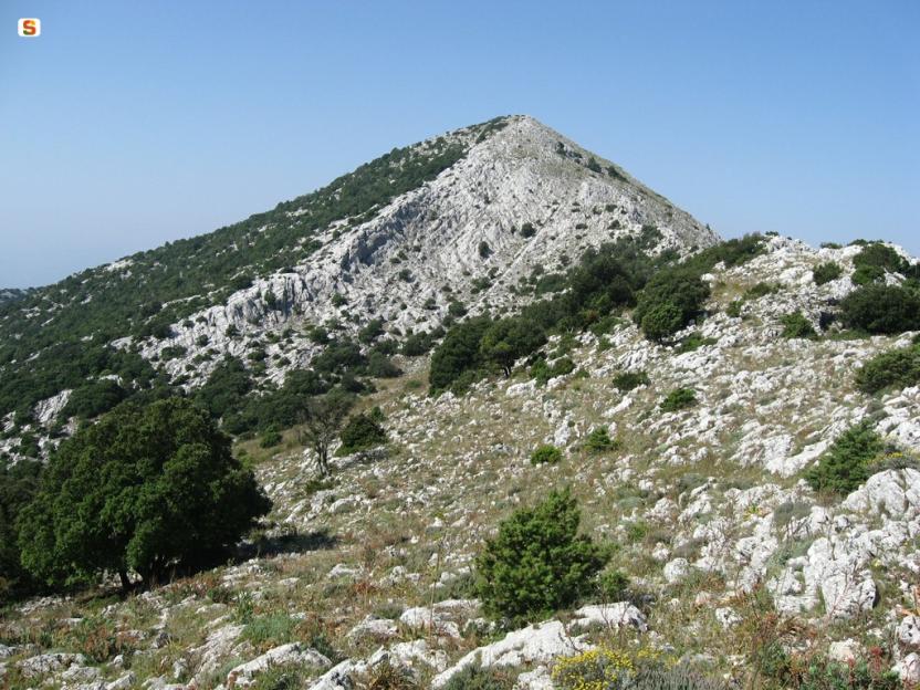 Punta Ferulargiu, punto panoramico.jpg