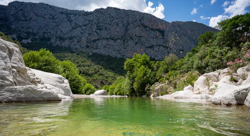 Riu Flumineddu presso Ponte Sa Barva (481 e 485).jpg