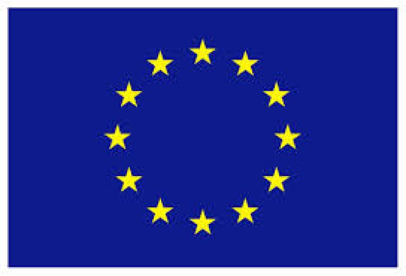 UE flag.jpg