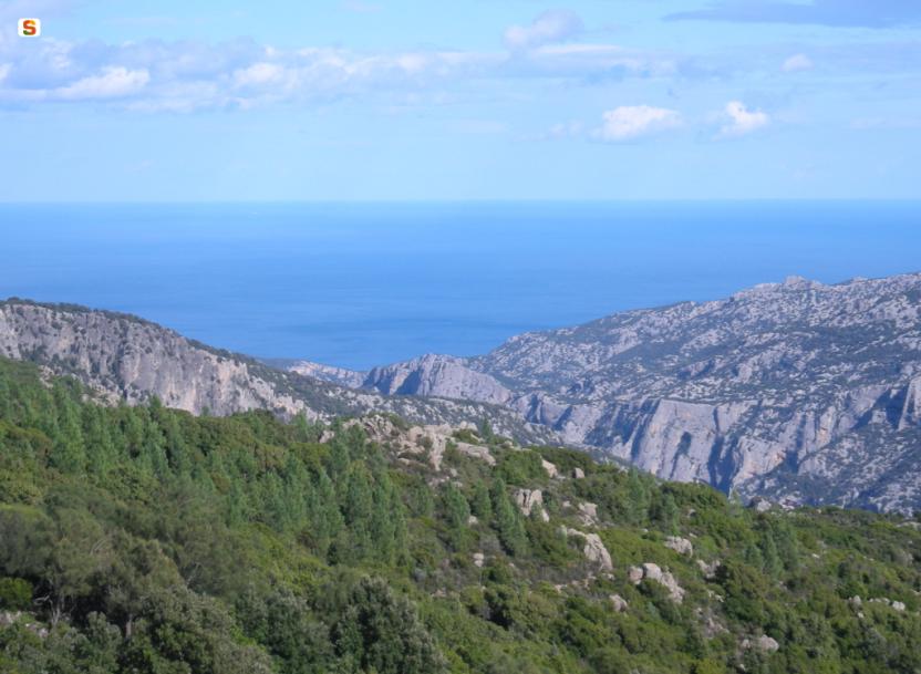 Urzulei, panoramica su Cala Luna.jpg