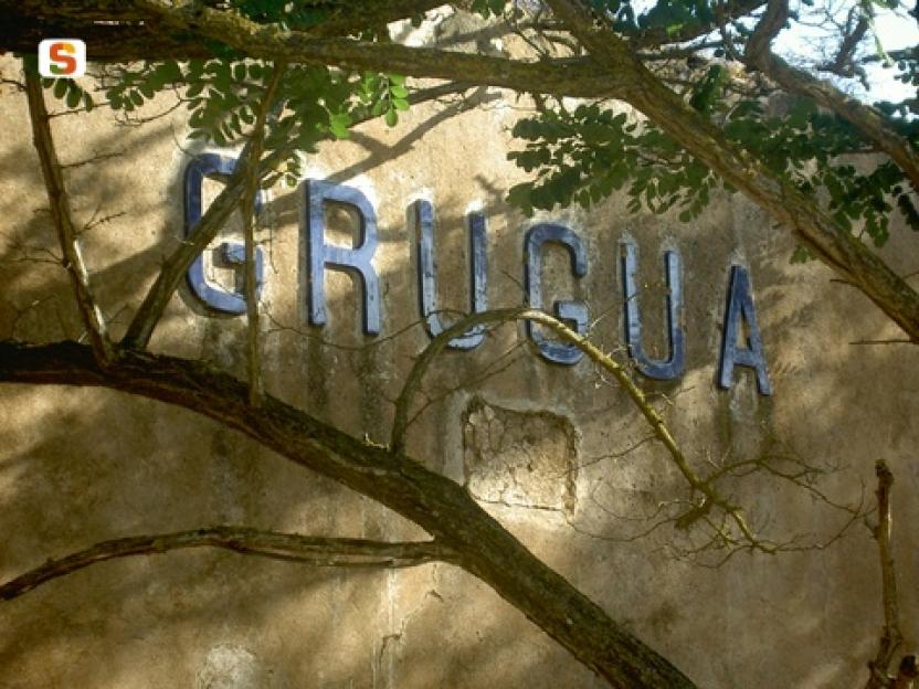 grugua.jpg