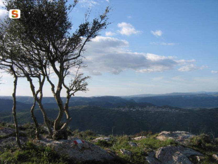 panorama belvedere su pardu.jpg