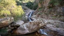 Confluenza tra Rio Linas e Rio Muru Mannu