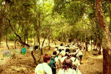 Scolaresche nel sentiero lungo il bosco Scolaresche nel sentiero lungo il bosco