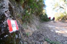 Lungo il sentiero 815