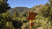 Monte Seddas, sentiero 209