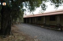 Oasi di Assai