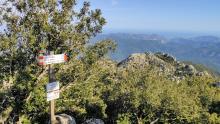 L'arrivo sulle cime del Lattias (foto A.Saba)