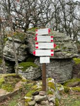 Monte Palai