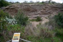 Spiaggia Fossile Molentargius (Comune di Cagliari)