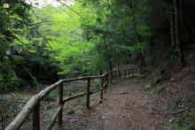 Lungo il rio Ermolinos