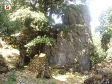 Vegetazione ai piedi del tacco calcareo di Genna Eragas 