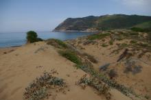 Arrivo dalle dune a spiaggia Porto Ferro