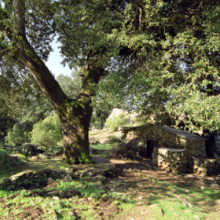 luoghi della transumanza luoghi della transumanza