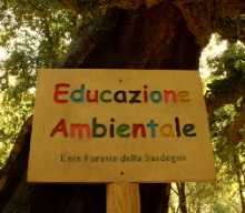Norme di comportamento Norme di comportamento
