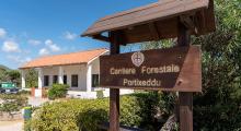 Cantiere forestale Portixeddu