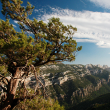 sguardi dall'alto sguardi dall'alto