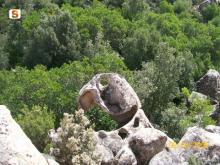 Talana Tafoni