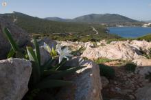 Vista di Porto Conte