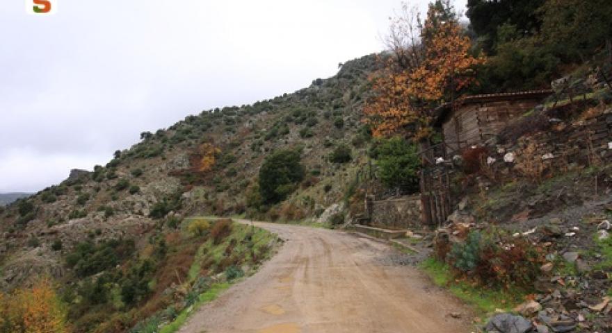 Aritzo strada per Funtana Cungiada