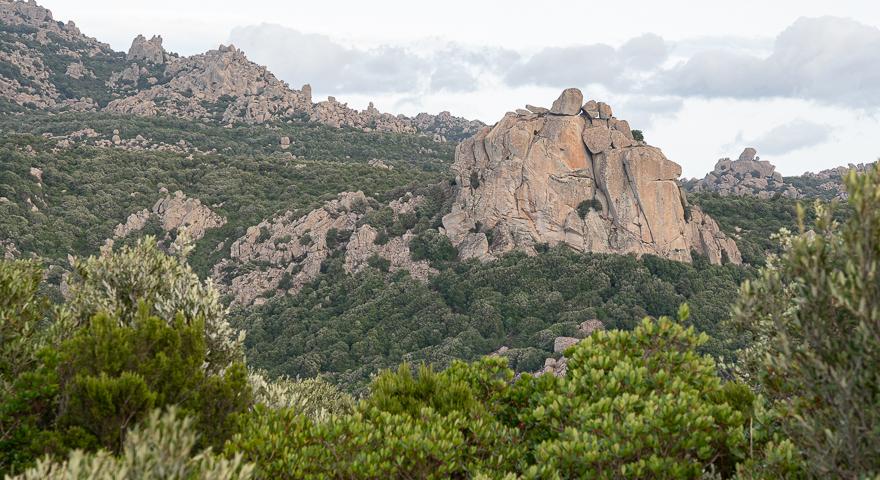 Vista sulle creste dei 7 Fratelli