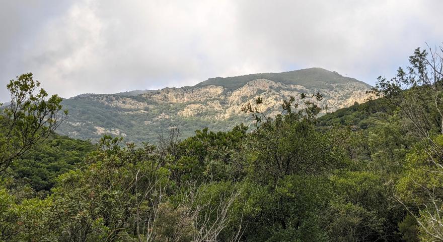 Le falesie del m.Arcosu viste dal sentiero in località Paddera Le falesie del m.Arcosu viste dal sentiero in località Paddera