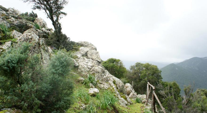 Panorama lungo il 217 nei pressi di  Punta Turneri