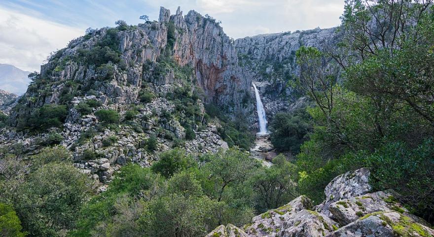 Cascata Piscina Irgas