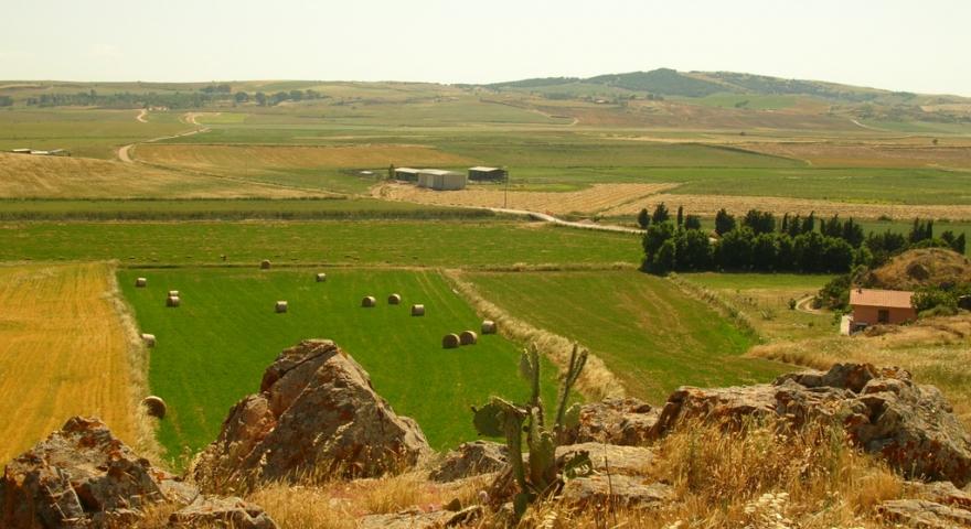 Panorama delle campagne di Ortacesus