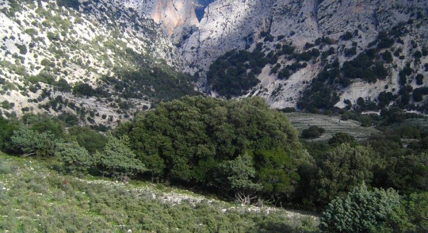 La gola di Gorroppu