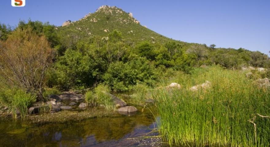 Vista dal rio Saragone, un affluente del rio Posada Vista dal rio Saragone, un affluente del rio Posada