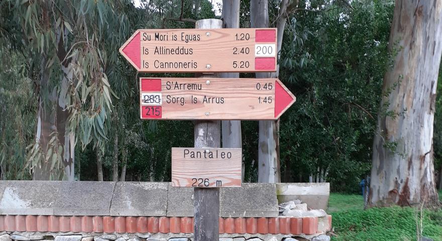 Lungo il sentiero 215 (punto di posa)