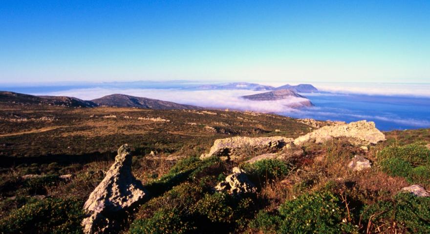 Panorama dell'Asinara della parte sud-occidentale