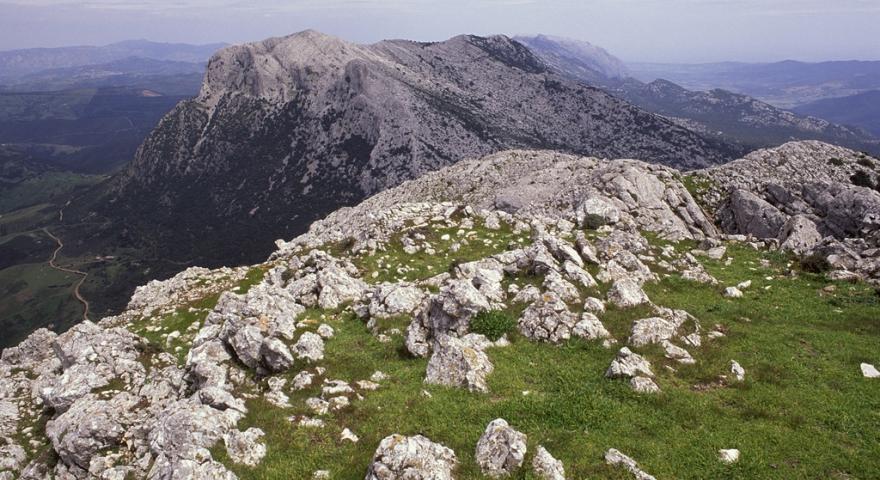 Le creste del Montalbo da punta Catirina (1100 m s.l.m.)