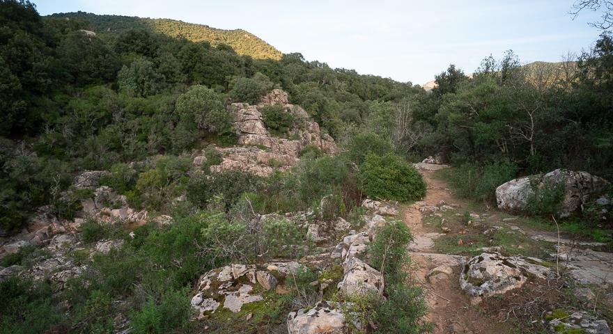 la mulattiera accanto al rio