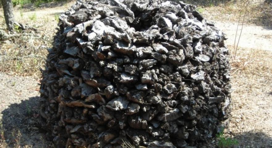 Carbonaia in fase di allestimento