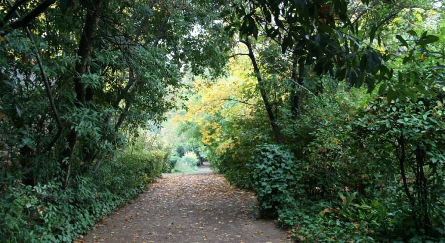 Laconi, vialetto nel Parco Aymerich