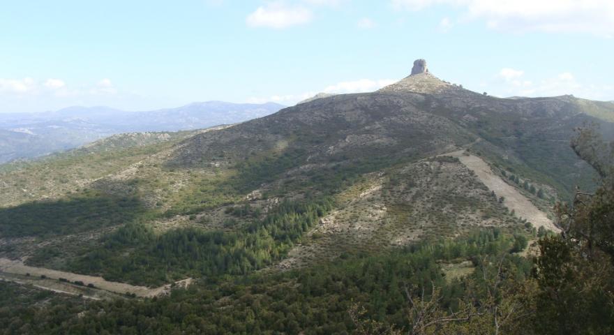 Vista di Perda liana da Montarbu 
