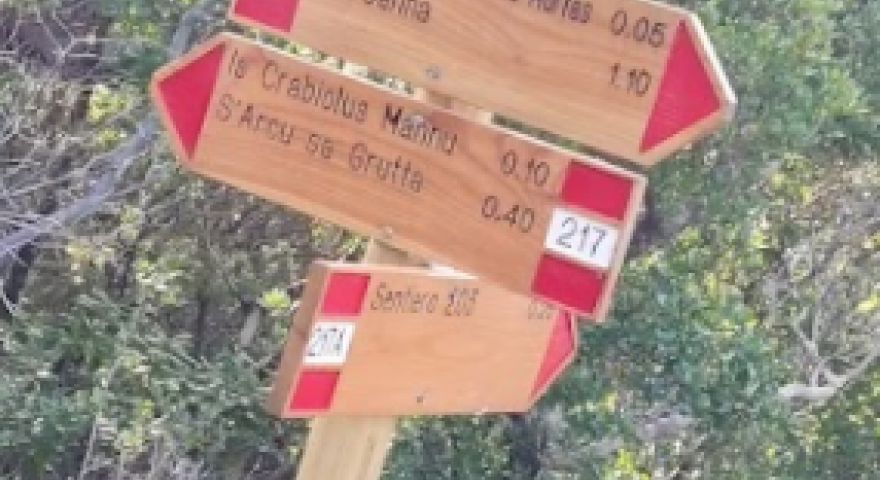 incrocio 217A
