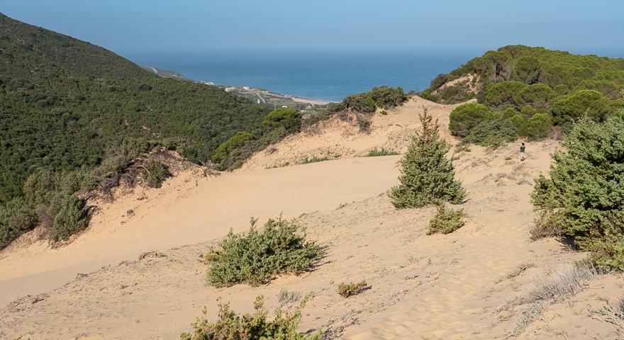 Panorama 304C